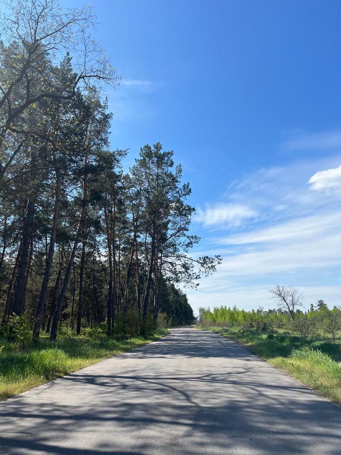 Бабусина Хатка Leplyavo Esterno foto